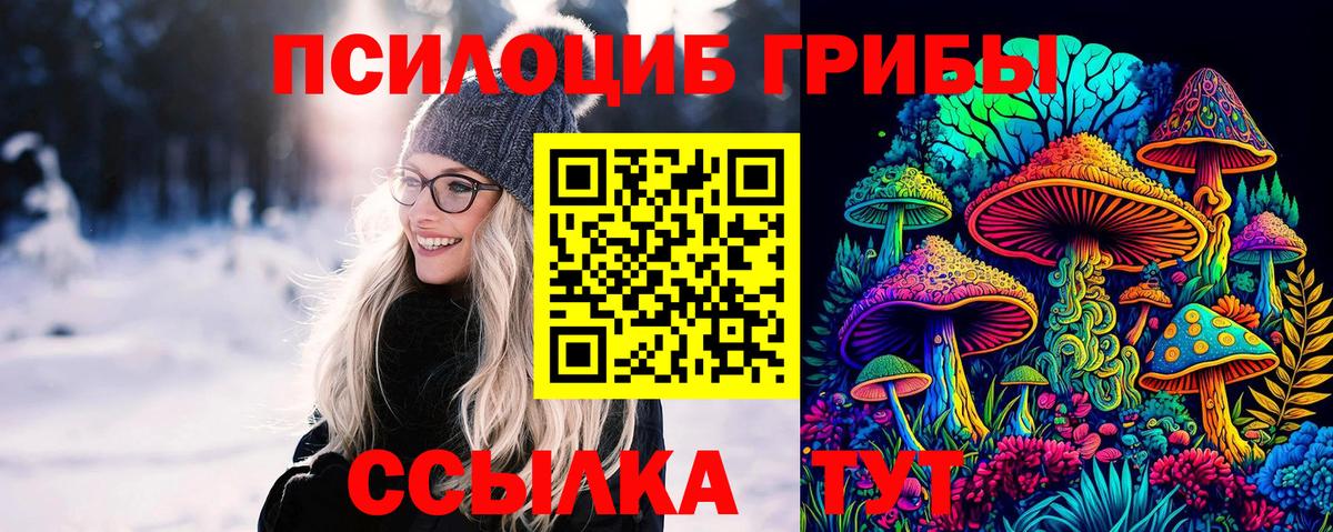 Галлюциногенные грибы MAGIC MUSHROOMS  Вход с VPN  Электрогорск 